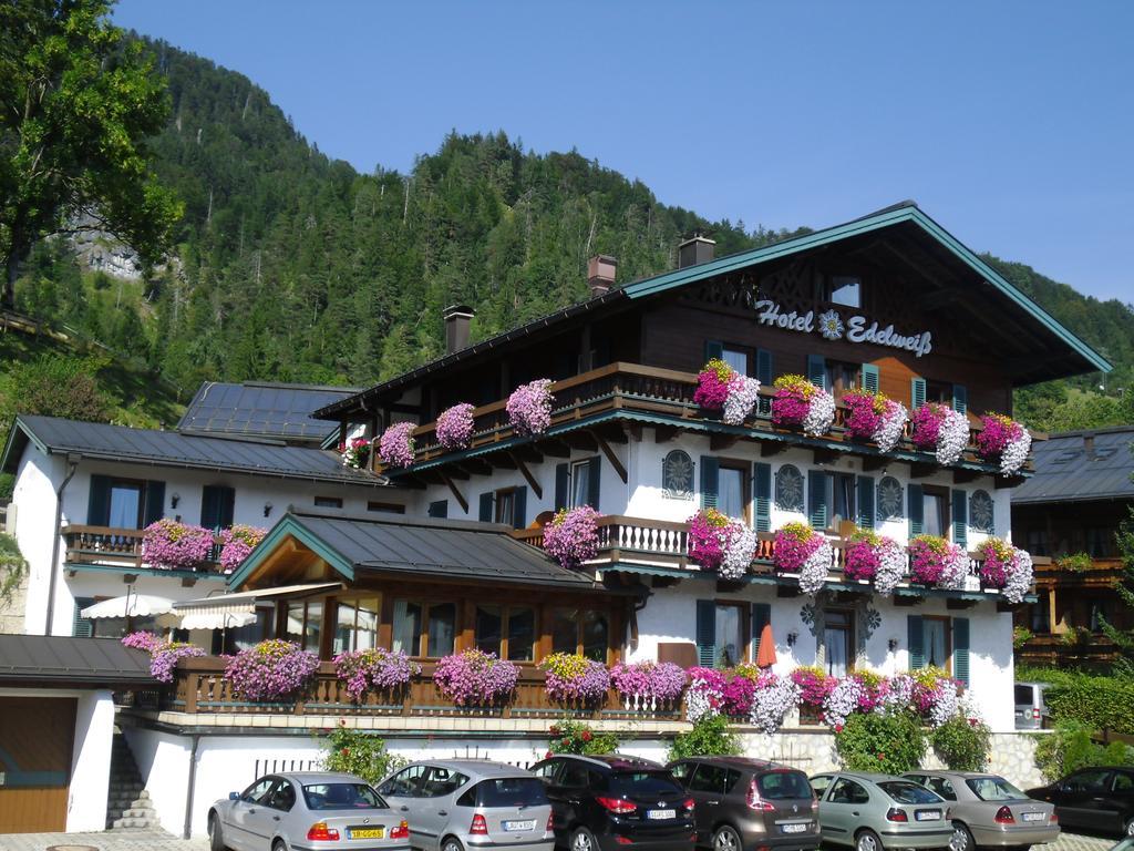 Hotel Edelweiss Garni 3*