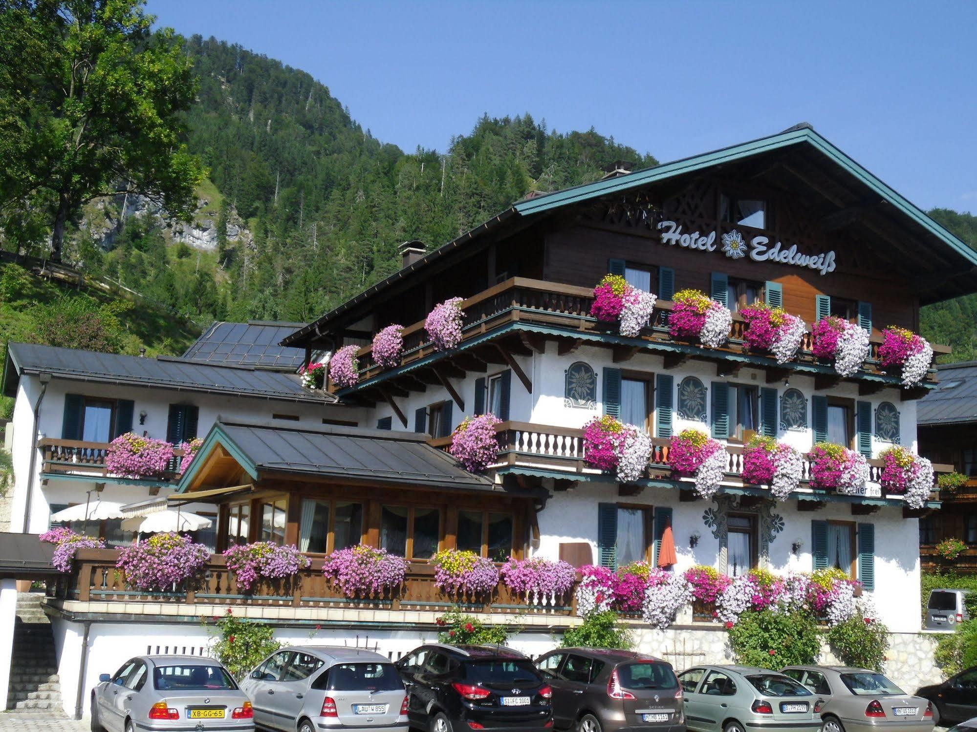 Edelweiss Garni